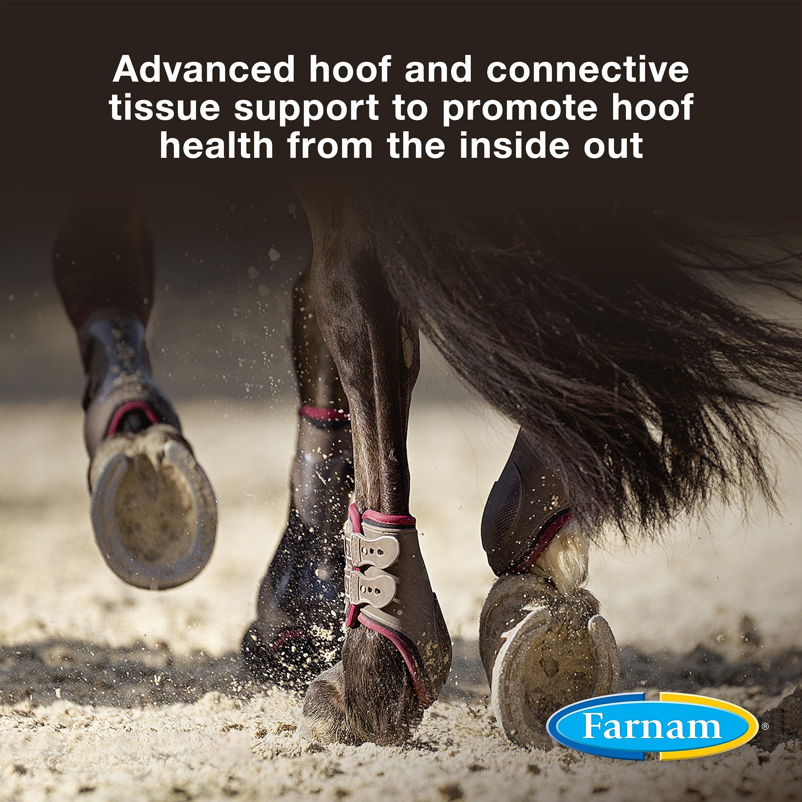 Farnam Horseshoer's Secret Extra Strength Hoof & Connective Tissue Biotin Supplement with Aminos for Strong, Healthy Hooves, Tendons & Ligaments, 7.5 lbs, 60-Day Supply