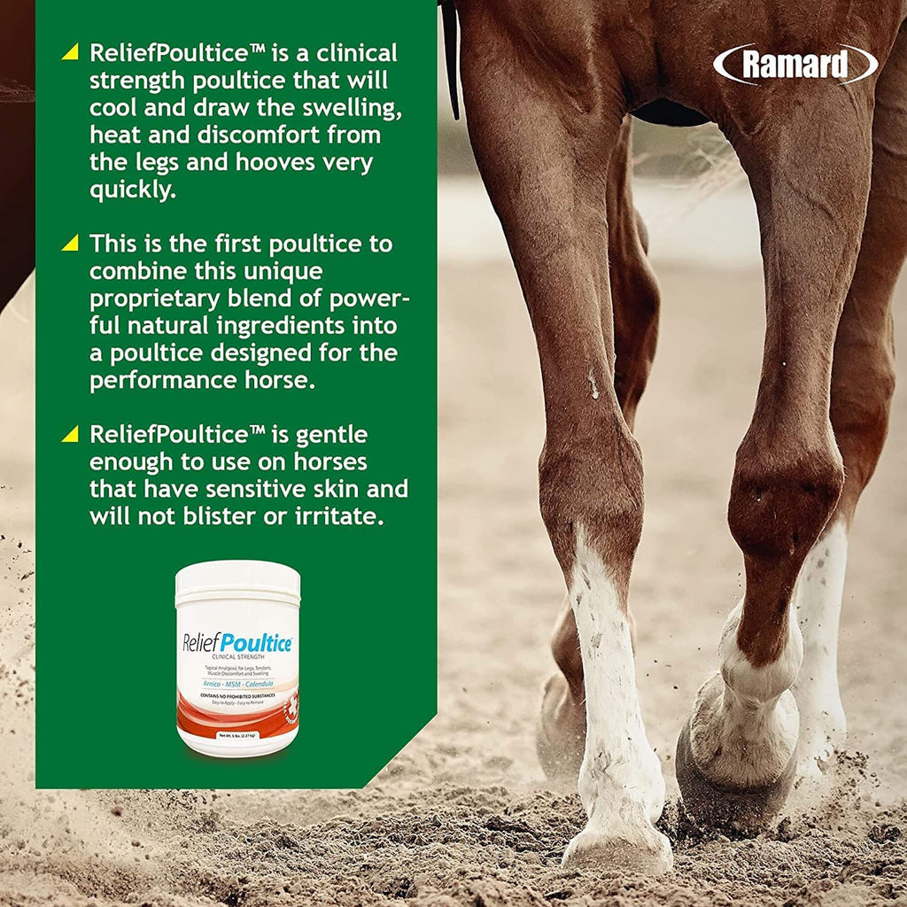 Ramard Relief Poultice for Horses -Veterinary Liniment Gel for Horse Muscle, Joint, Tendon & Ligament Care -Equine Poultice Leg Wraps, Gentle Liniment Bentonite Clay, Arnica, Calendula, & MSM 5lbs Tub