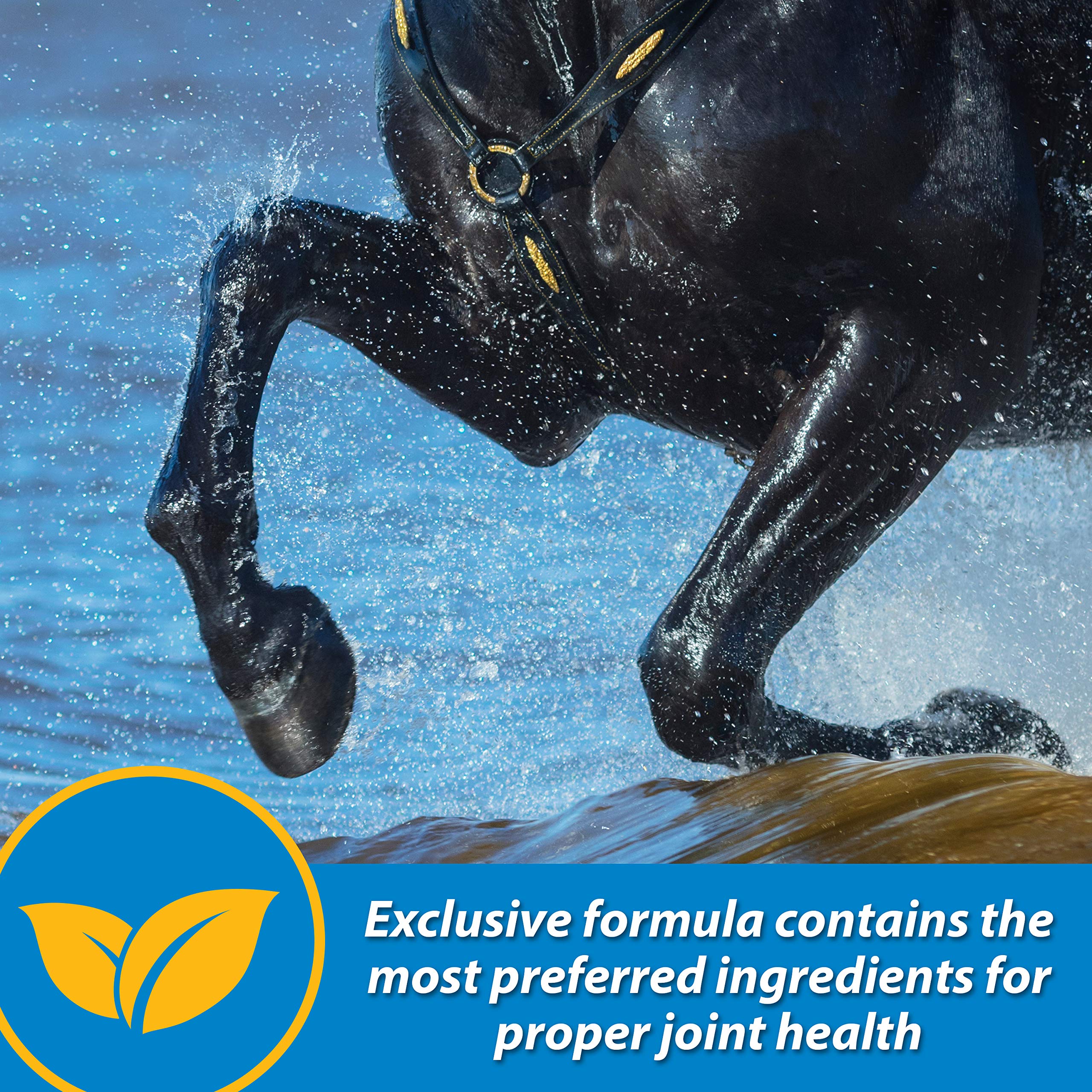 Farnam Fluidflex Suplemento Líquido para Articulaciones de Caballos, Ayuda a Mantener la Función Saludable de la Cadera y las Articulaciones, 32 Onzas Suministro para 32 Días