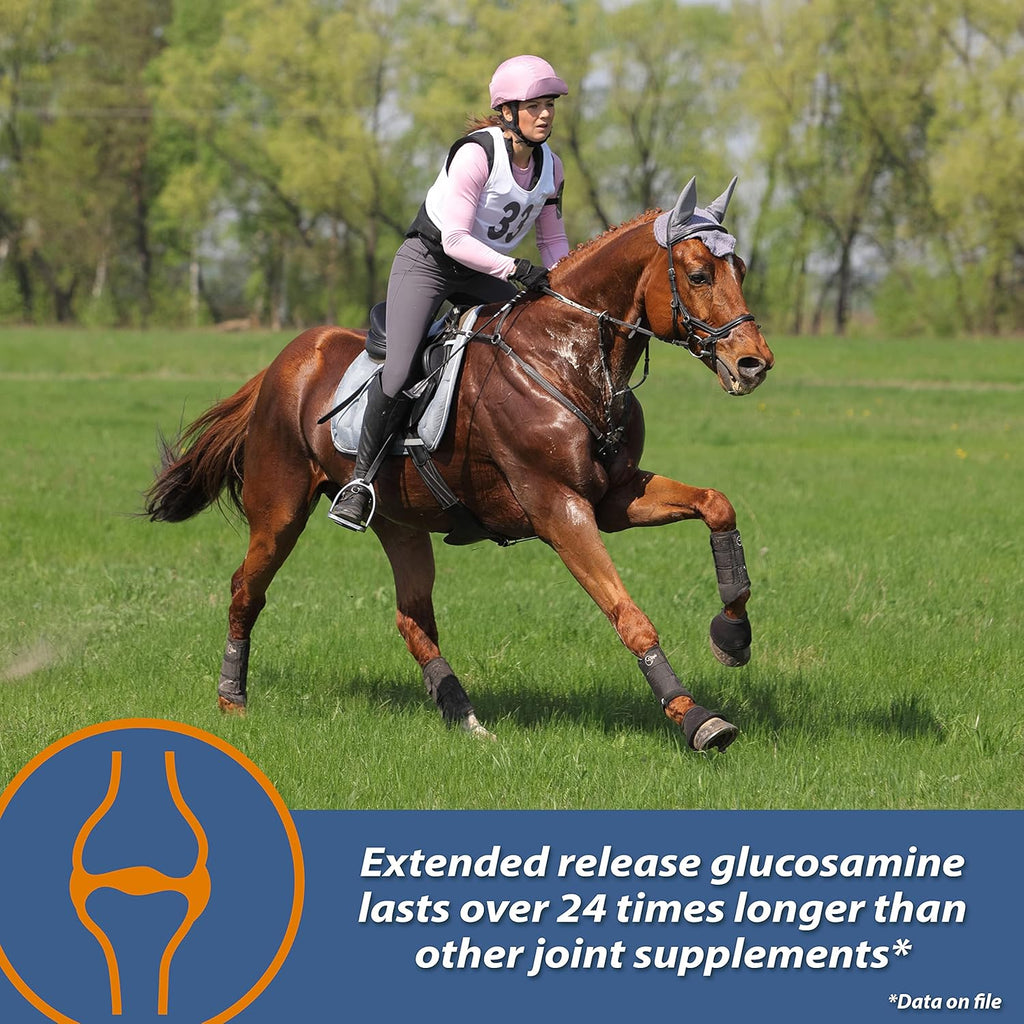 Farnam MaxFlex XR Suplemento Articular de Liberación Prolongada para Caballos, Proporciona un suministro continuo de ingredientes para la salud articular durante 24 horas, 0.9375 libras, Suministro para 30 Días