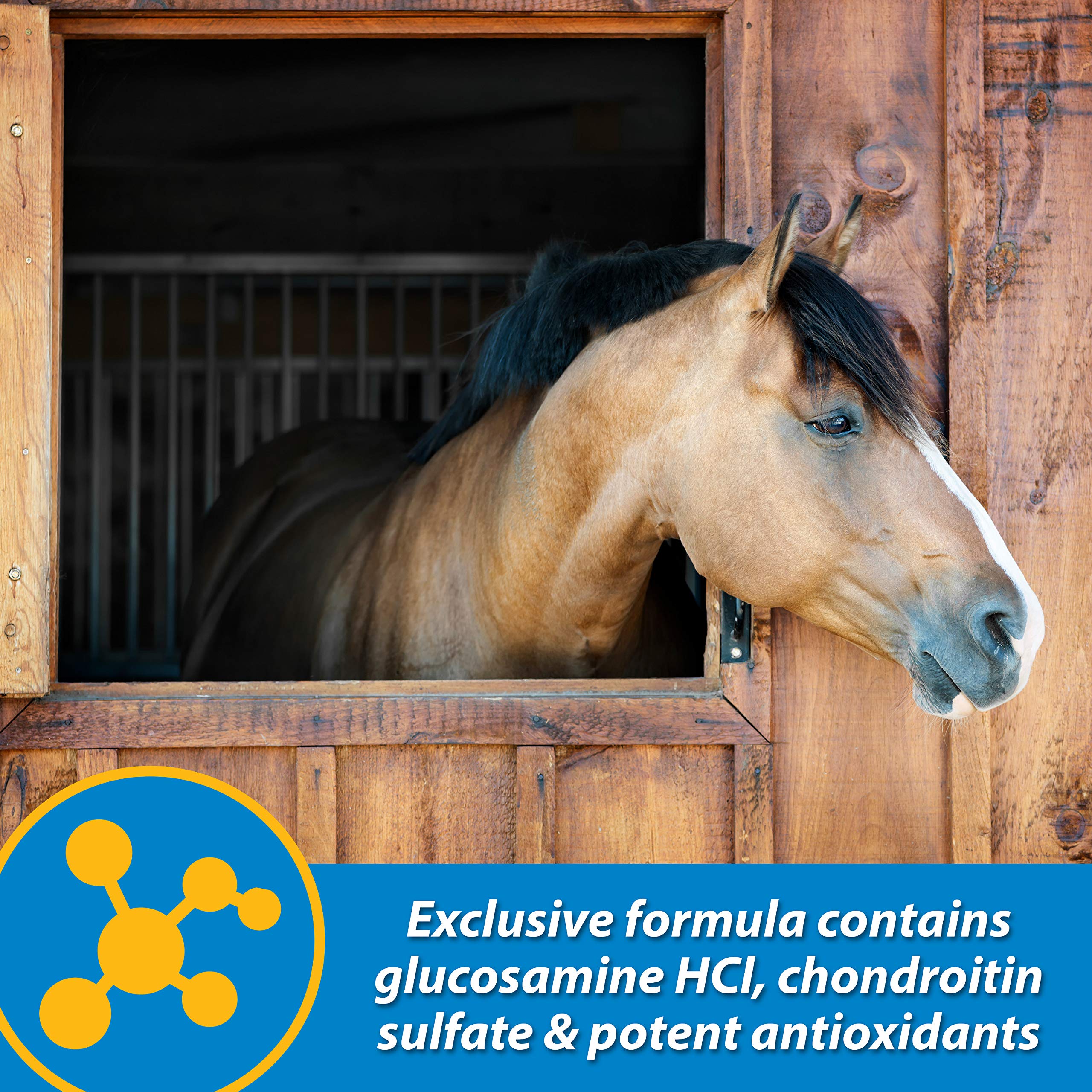 Farnam Fluidflex Liquid Joint Supplement for Horses, Helps Maintain Healthy Hip & Joint Function, 32 Ounces 32 Day Supply