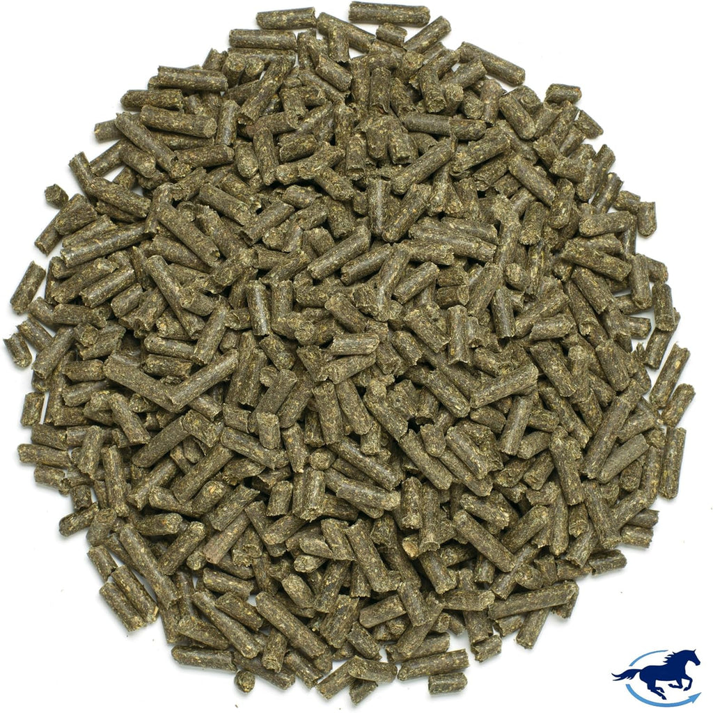 SmartMuscle® Pellets para masa muscular | Suplementos musculares para caballos, suero bioactivo, gamma orizanol y más | Ideal para el desarrollo y mantenimiento de la masa muscular magra | 56 dosis | Cubeta de 4,5 kg