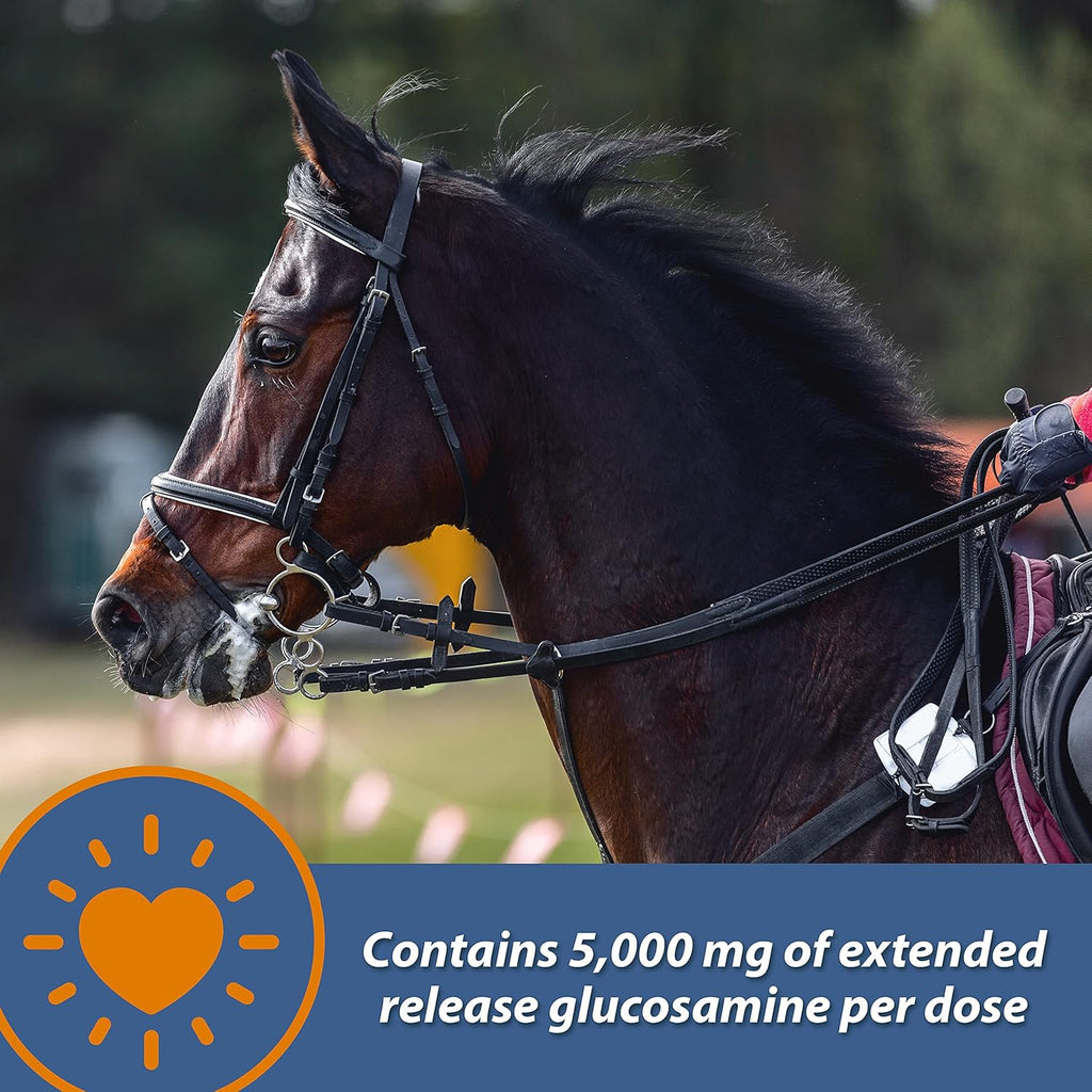 Farnam MaxFlex XR Suplemento Articular de Liberación Prolongada para Caballos, Proporciona un suministro continuo de ingredientes para la salud articular durante 24 horas, 0.9375 libras, Suministro para 30 Días