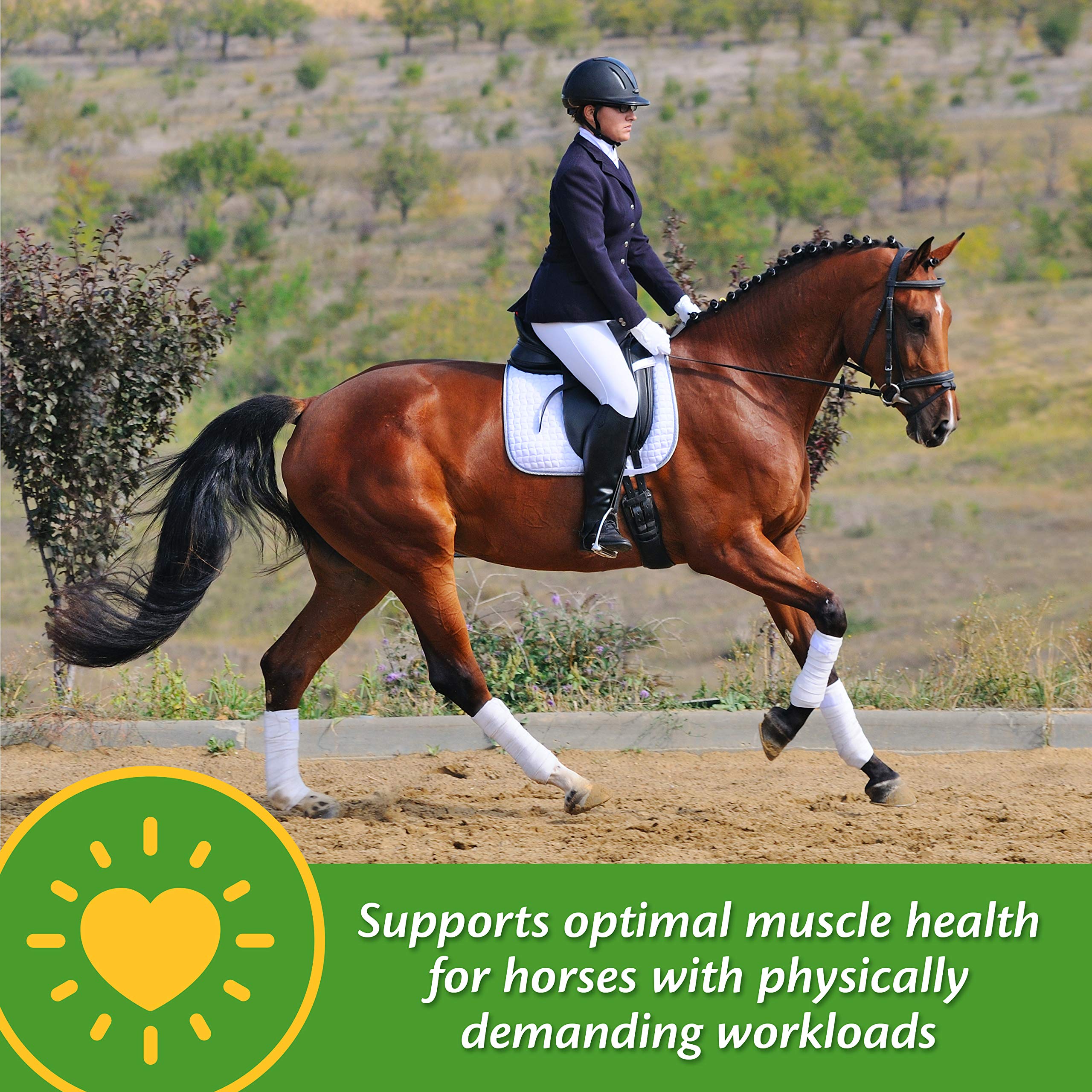 Farnam Vita-Min E & Selenium Antioxidant Supplement for Horses, Horse Vitamin E Supplement, Muscle Health and Peak Condition, 3 lb, 96 Day Supply