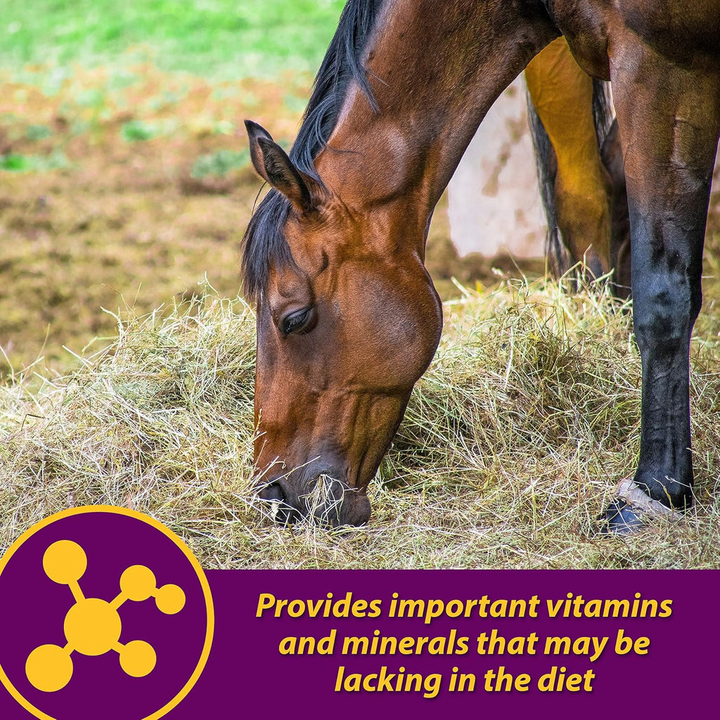 Horse Health Red Cell, Liquid Vitamin-Iron-Mineral Supplement for Horses, Helps Fill Important Nutritional Gaps in Horse's Diet, 1 Qt., 32 Oz., 16-Day Supply
