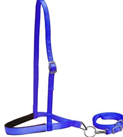 Showman Premium Nylon Noseband Tie Down w/Strap