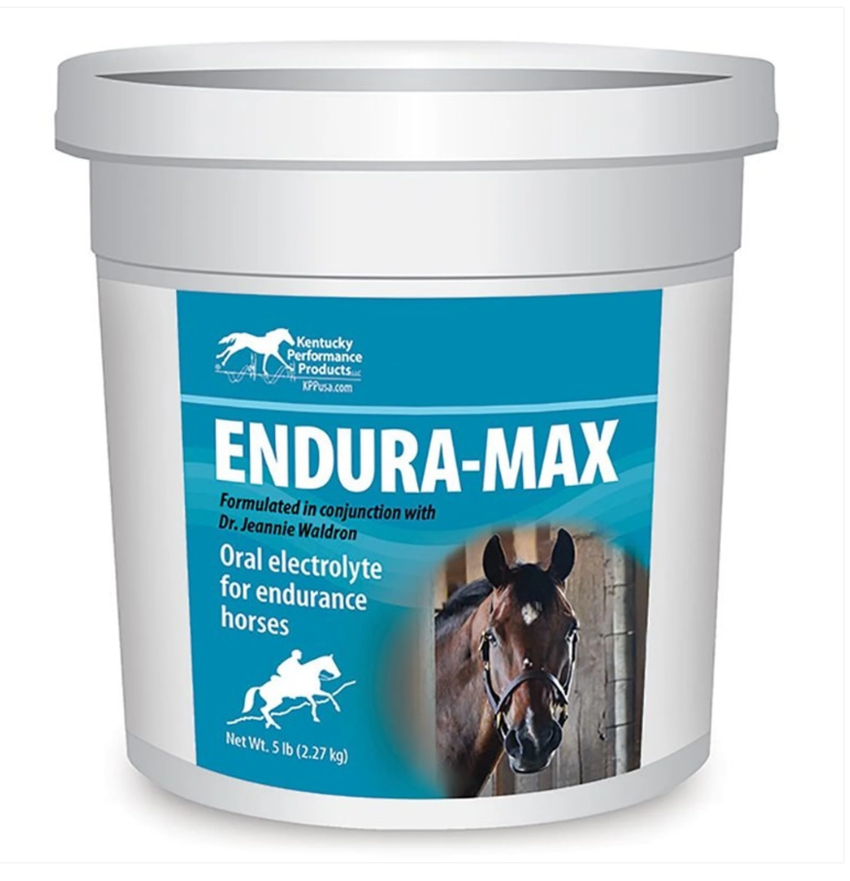 Endura max electrolitos